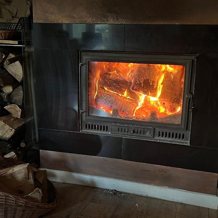 Siedlisko Wyzne Villa Exteriör bild