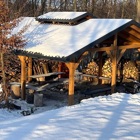Siedlisko Wyzne Villa Exteriör bild
